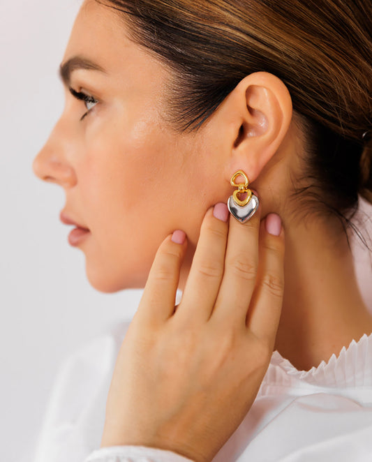 Darlinth - 18k gold plated mix of gold and silver tones earrings