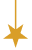 Moon Store Icon